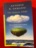 Buchempfehlung Tania - KreaFreiKunst: Der Spinoza Effekt